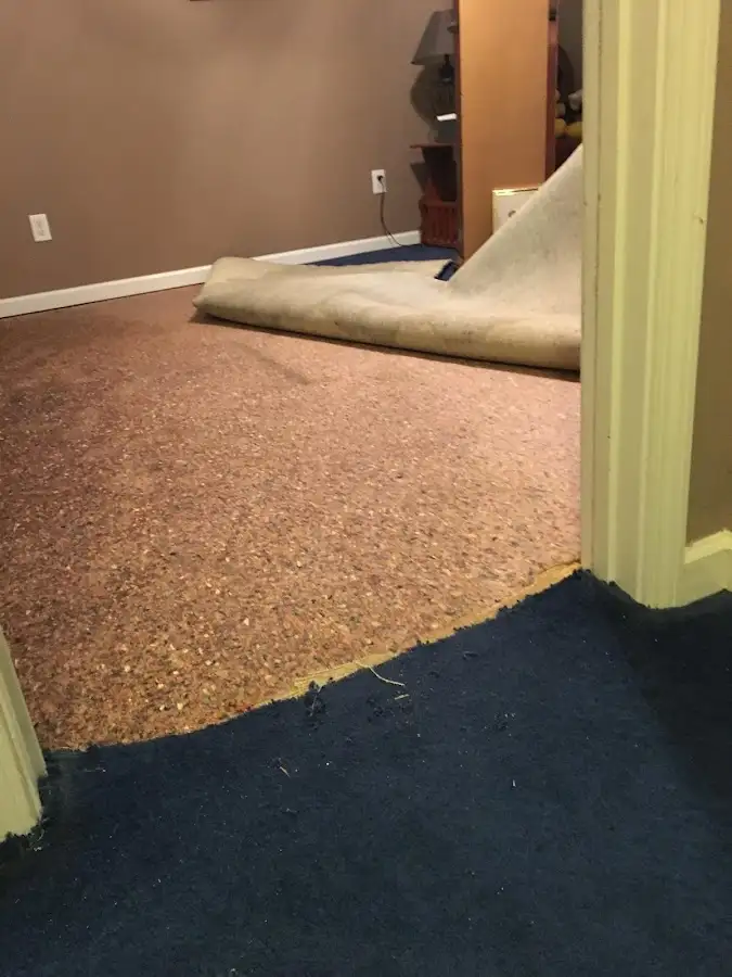 Carpet pad removal revealing water damage during Drying & Dehumidification in Bel Air North