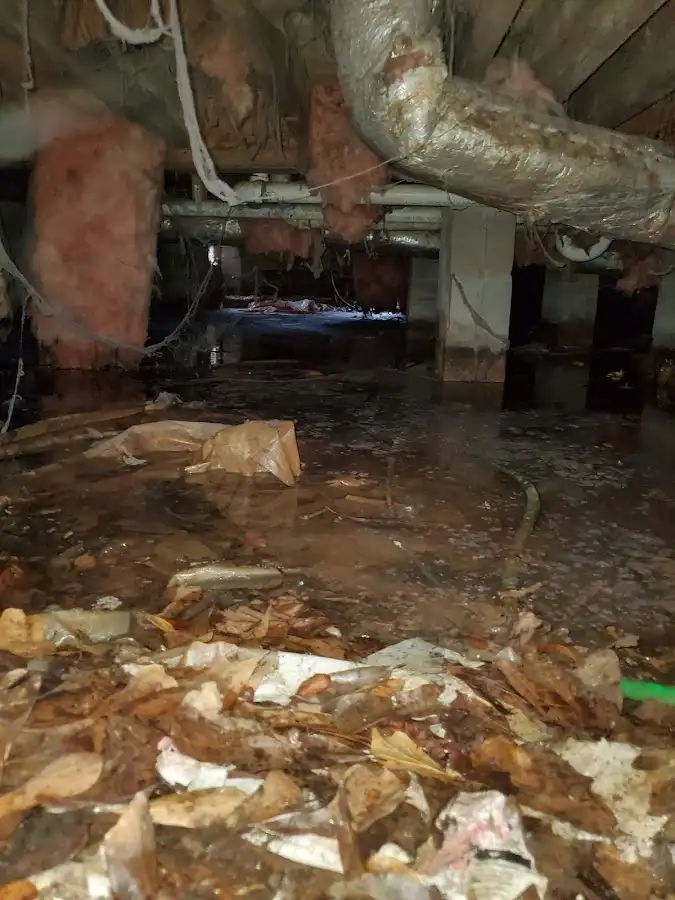Crawl space flood assessment for Commercial Water Damage Restoration in Bel Air North